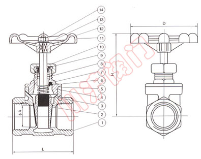 不锈钢内螺纹闸阀 外形尺寸图
